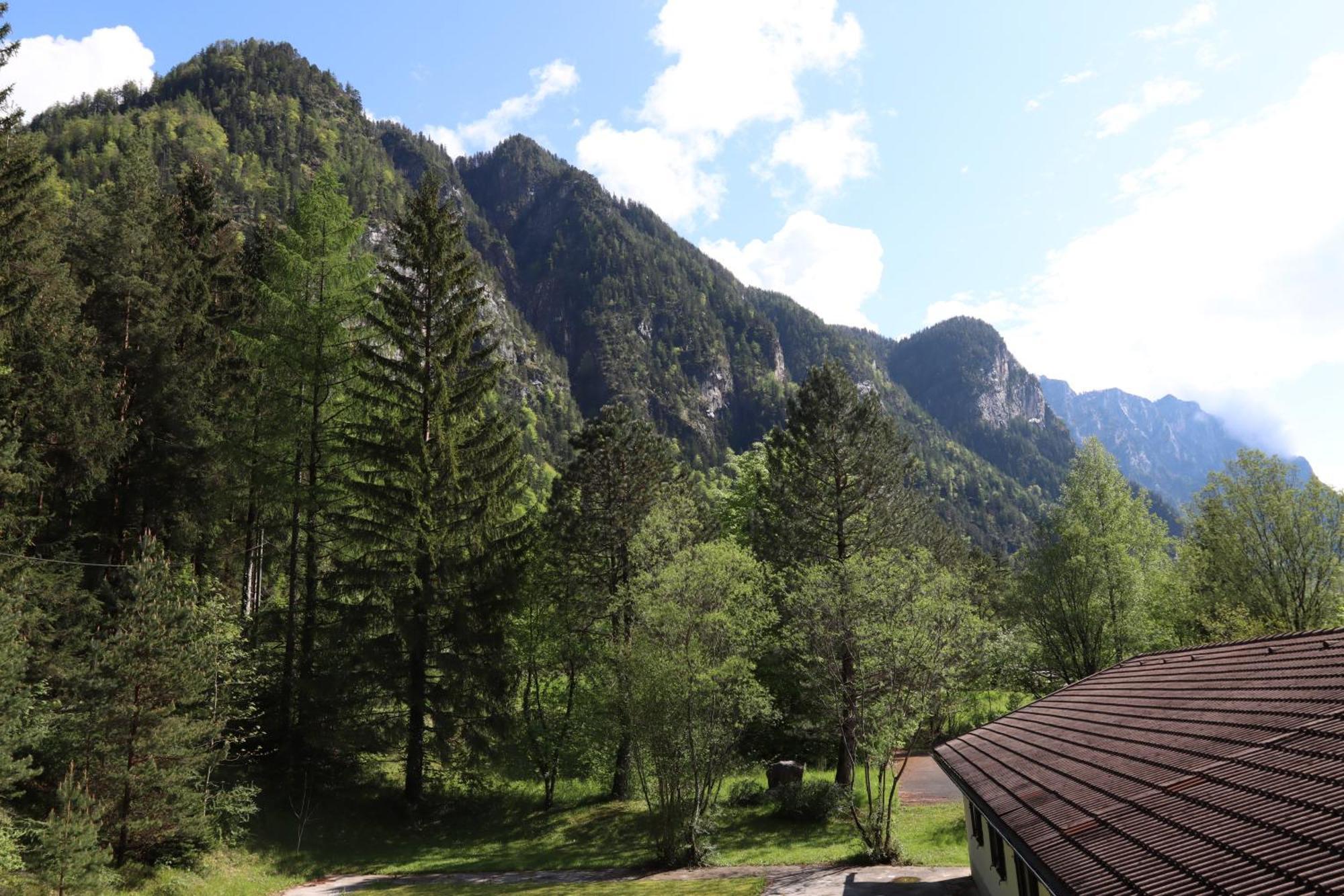Pension Almhof Baumgarten Bad Reichenhall Esterno foto